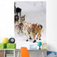 Quinn Iten Lead Dogs Running Wall Mural
