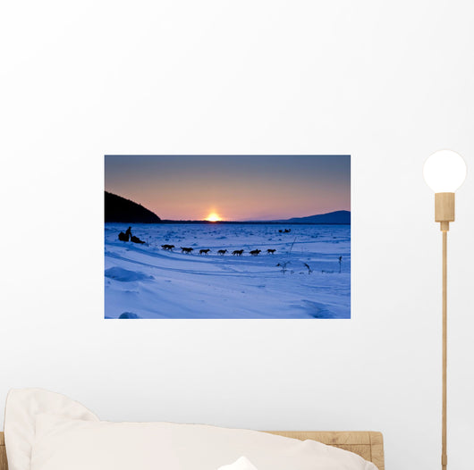 Dallas Seavey Drops Down The Bank Onto The Yukon River Wall Mural