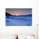 Dallas Seavey Drops Down The Bank Onto The Yukon River Wall Mural