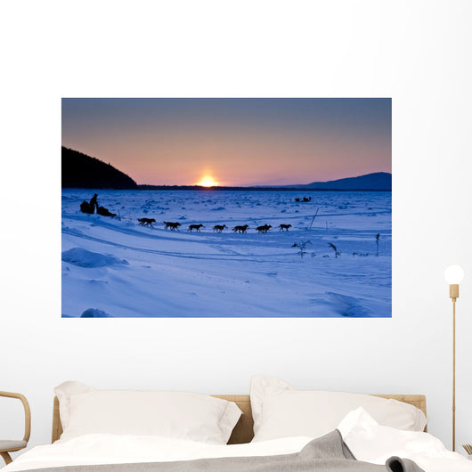 Dallas Seavey Drops Down The Bank Onto The Yukon River Wall Mural
