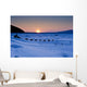 Dallas Seavey Drops Down The Bank Onto The Yukon River Wall Mural