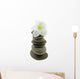 White Frangipani Flower Pyramid