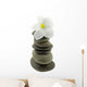 White Frangipani Flower Pyramid