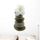 White Frangipani Flower Pyramid