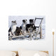 Eight Week Old Iditarod Husky Pups Sit Wall Mural