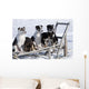 Eight Week Old Iditarod Husky Pups Sit Wall Mural