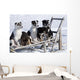 Eight Week Old Iditarod Husky Pups Sit Wall Mural