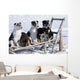 Eight Week Old Iditarod Husky Pups Sit Wall Mural