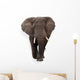 Elephant Wall Decal Design 1