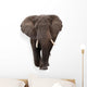Elephant Wall Decal Design 1