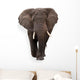 Elephant Wall Decal Design 1