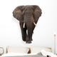 Elephant Wall Decal Design 1