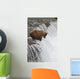 Brown Bear At Brooks Falls On Brooks River Wall Mural