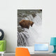 Brown Bear At Brooks Falls On Brooks River Wall Mural