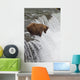 Brown Bear At Brooks Falls On Brooks River Wall Mural