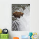 Brown Bear At Brooks Falls On Brooks River Wall Mural