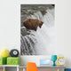 Brown Bear At Brooks Falls On Brooks River Wall Mural