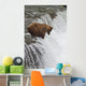 Brown Bear At Brooks Falls On Brooks River Wall Mural