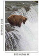 Brown Bear At Brooks Falls On Brooks River Wall Mural