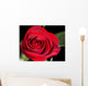 red rose Wall Mural