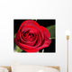 red rose Wall Mural