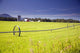 Rolling Irrigation Sprinkler Wall Mural