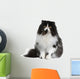 Front view of Persian cat, sitting in front of white background Wall Decal