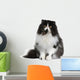 Front view of Persian cat, sitting in front of white background Wall Decal