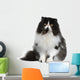 Front view of Persian cat, sitting in front of white background Wall Decal