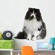 Front view of Persian cat, sitting in front of white background Wall Decal