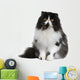Front view of Persian cat, sitting in front of white background Wall Decal