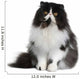 Front view of Persian cat, sitting in front of white background Wall Decal