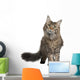 Front Maine Coon Standing Wall Decal