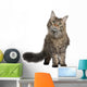 Front Maine Coon Standing Wall Decal