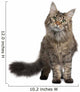 Front Maine Coon Standing Wall Decal
