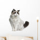 Front view of Ragdoll cat, sitting and looking away Wall Decal