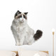Front view of Ragdoll cat, sitting and looking away Wall Decal