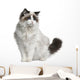 Front view of Ragdoll cat, sitting and looking away Wall Decal