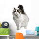 Front view of Ragdoll cat, standing in front of white background Wall Decal