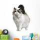 Front view of Ragdoll cat, standing in front of white background Wall Decal