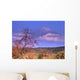 Kaki Wall Decal