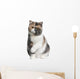 Front Exotic Shorthair Cat Wall Decal