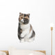 Front Exotic Shorthair Cat Wall Decal