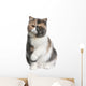 Front Exotic Shorthair Cat Wall Decal