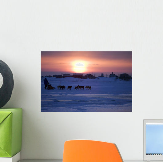 Mike Jayne Mushes Inbound To Unalakleet Wall Mural