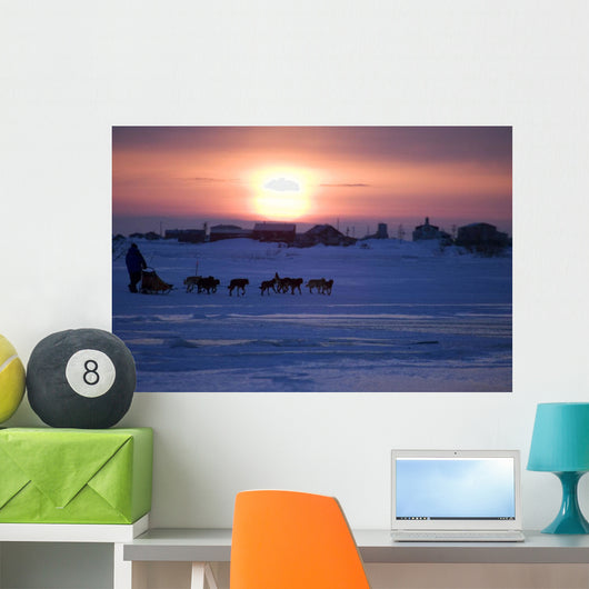 Mike Jayne Mushes Inbound To Unalakleet Wall Mural