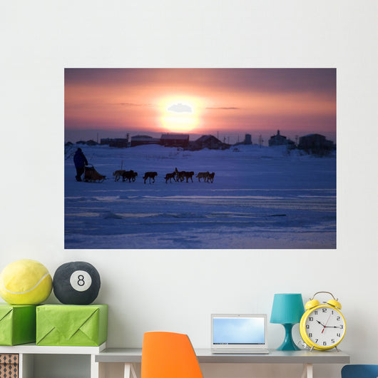 Mike Jayne Mushes Inbound To Unalakleet Wall Mural