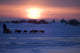 Mike Jayne Mushes Inbound To Unalakleet Wall Mural