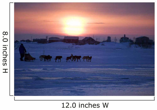 Mike Jayne Mushes Inbound To Unalakleet Wall Mural