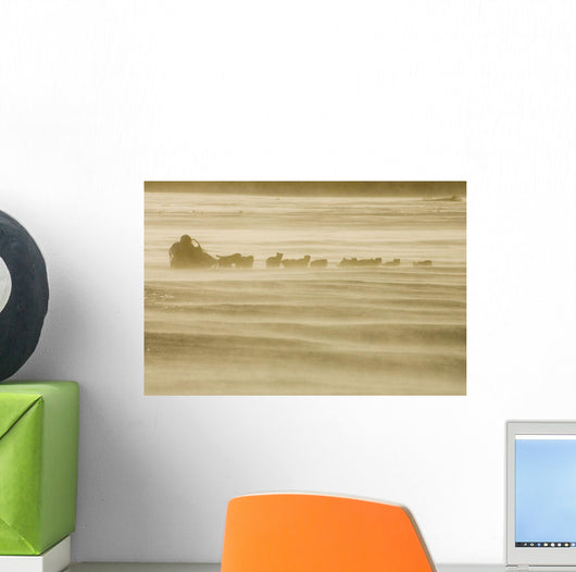 Martin Buser Runs Wall Mural